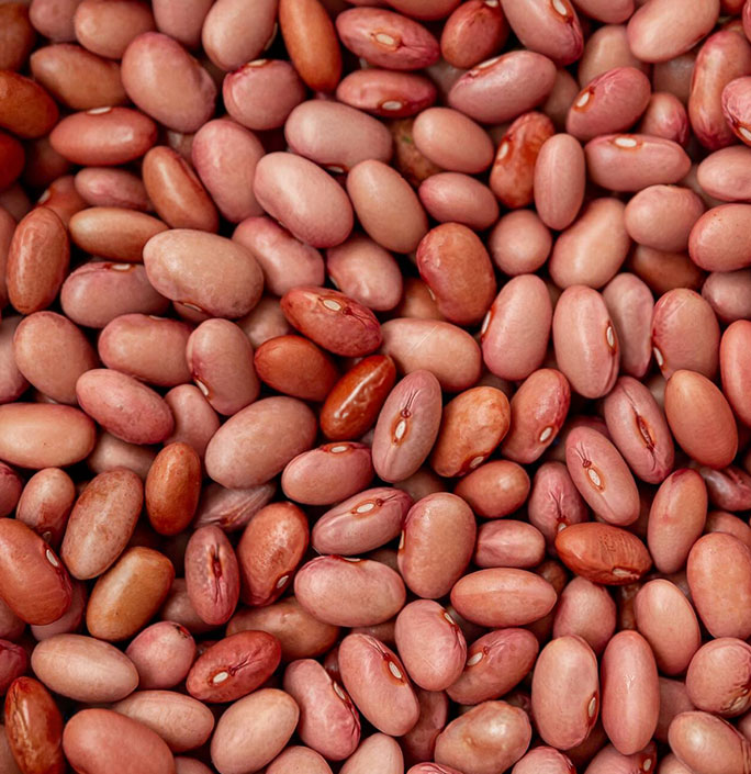 general-frutas-granos.jpg