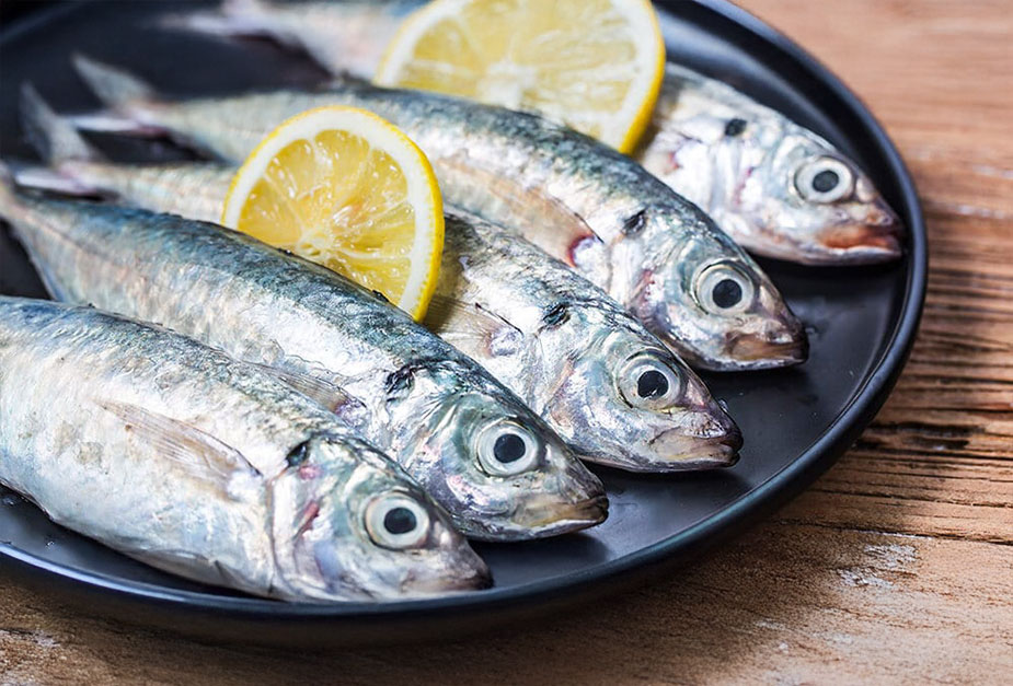 pesca-jurel.jpg