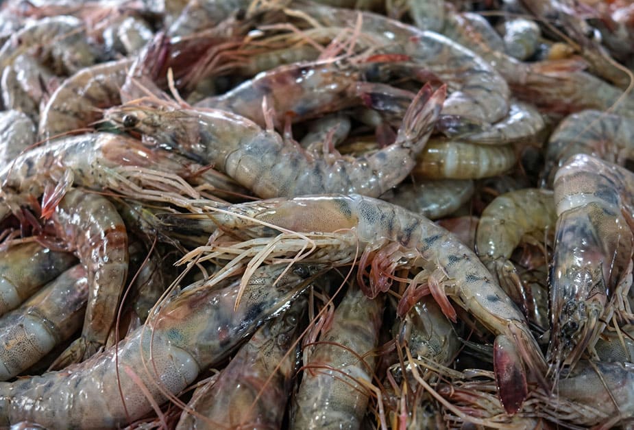 mariscos.jpg