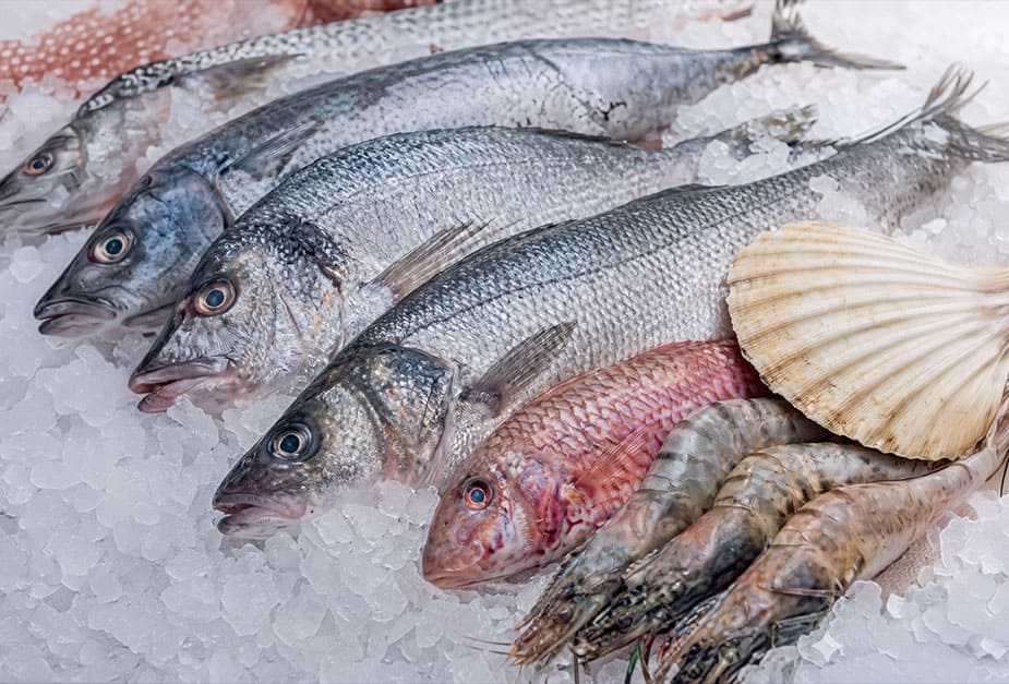 pesca-exportacion.jpg